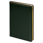Набор подарочный Solution Duo (ежедневник City Nebraska, ручка Legend Soft Touch Mirror Gold), зеленый — изображение 2
